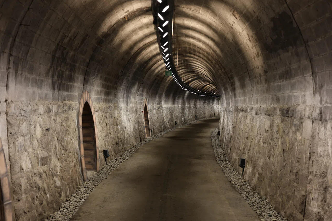 Başkan Şahin: Cumhuriyetimizin 101. yılı bir rehber olmalı