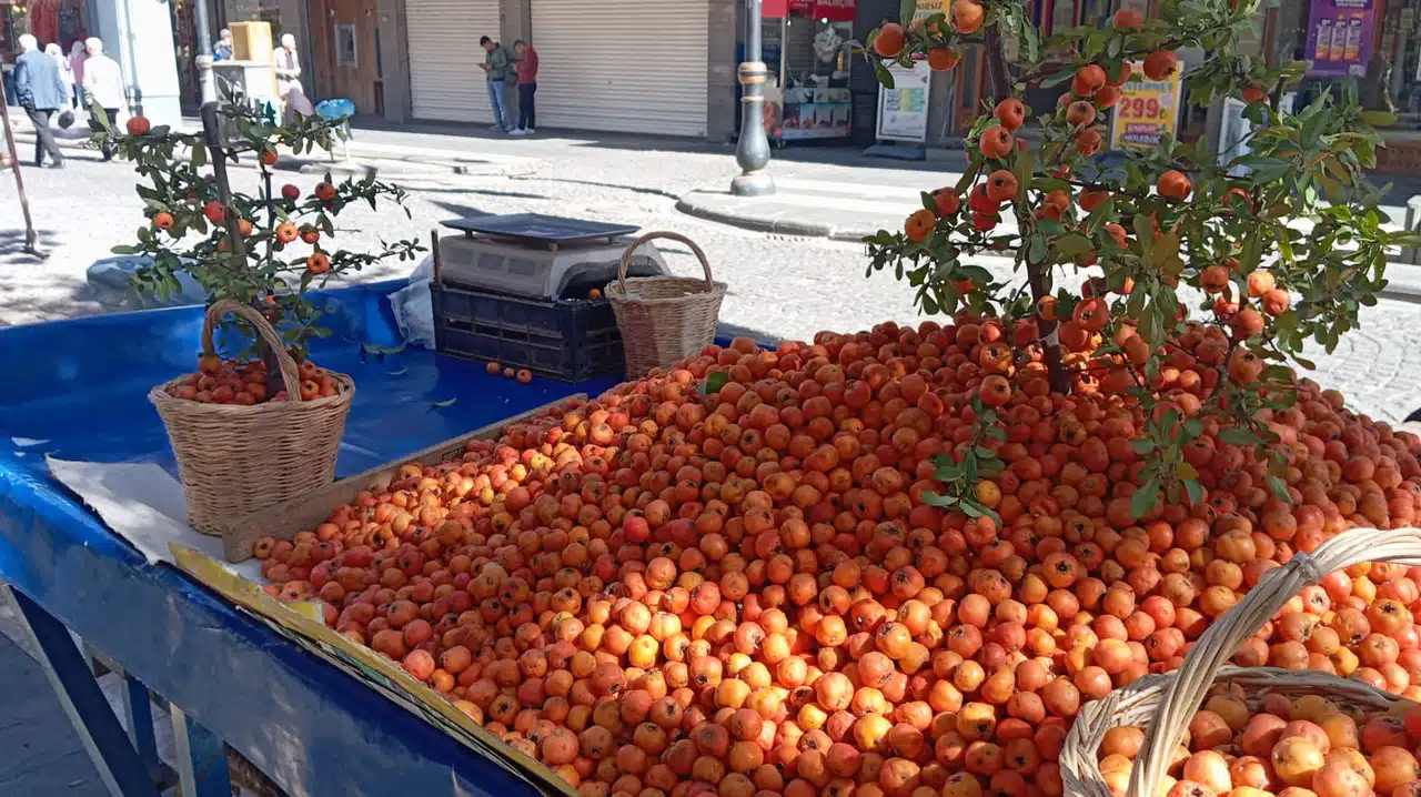 Akbulut: Alıçtan yapılan sirke hem dünyada hem de ülkemizde popüler sirke çeşitleri biri