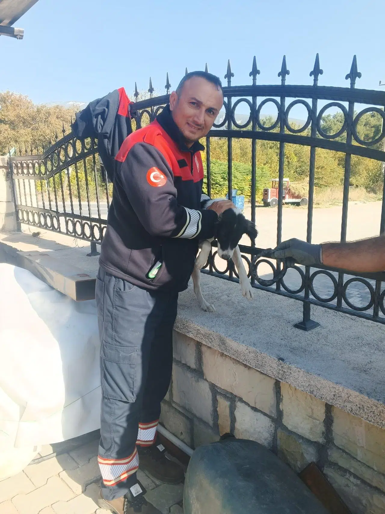 Kafası demir parmaklıklara sıkışan köpek itfaiye tarafından kurtarıldı