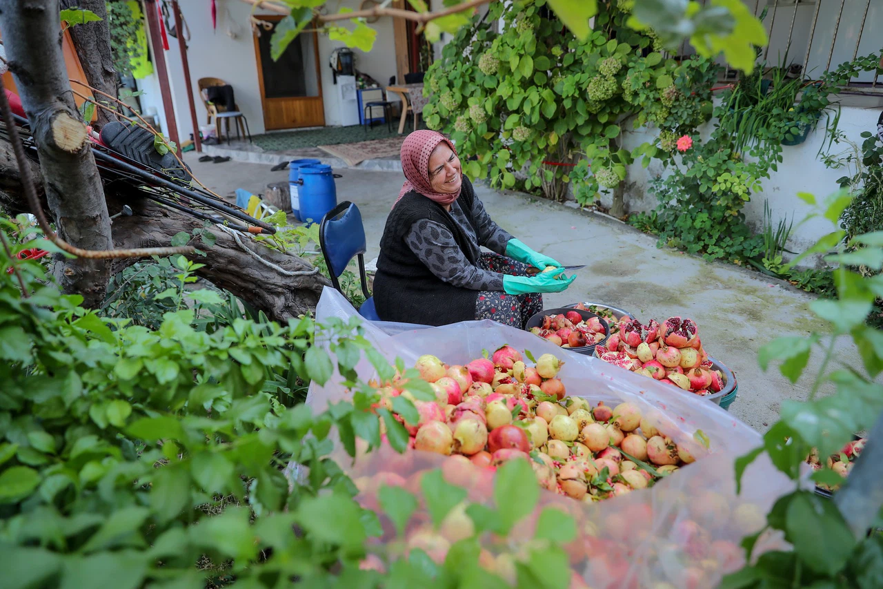 Aliağa’nın Çıtak Mahallesi’nde nar  ekşisi yapımına başlandı