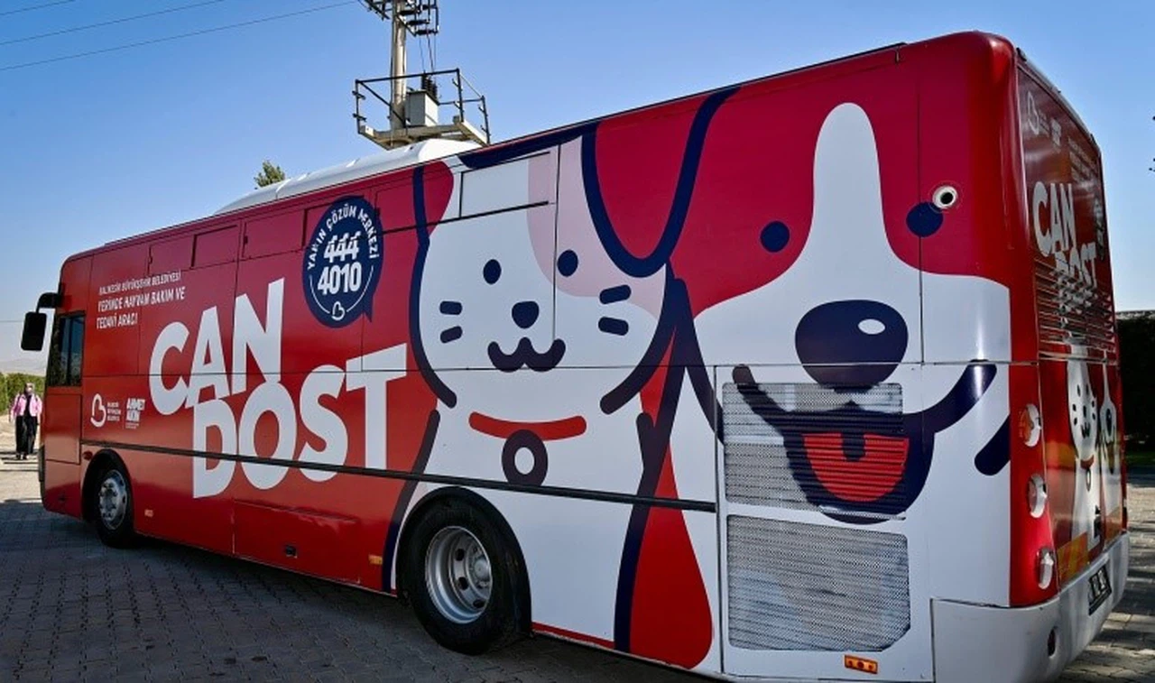 Balıkesir'de bin 52 sokak hayvanı yeni yuvasına kavuştu