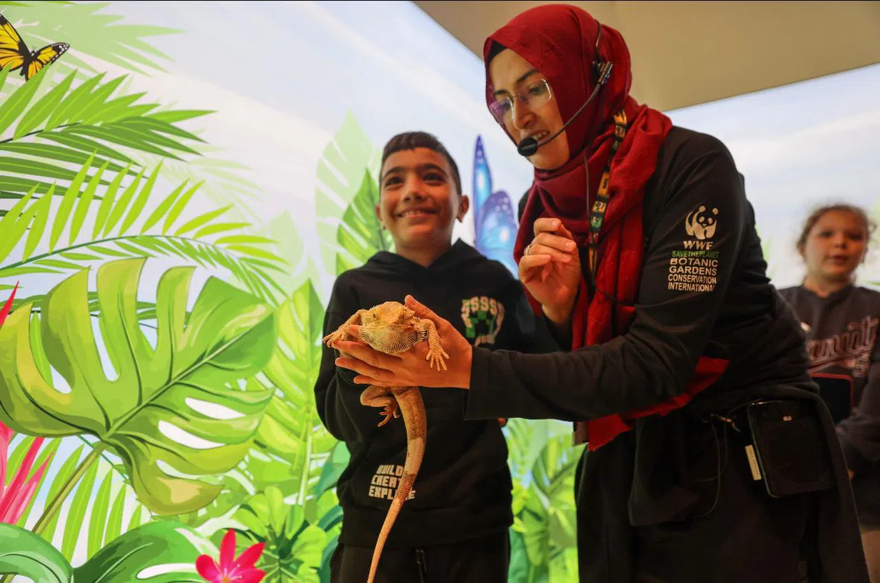 Selçuklu'da tropikal canlılarla eğitim