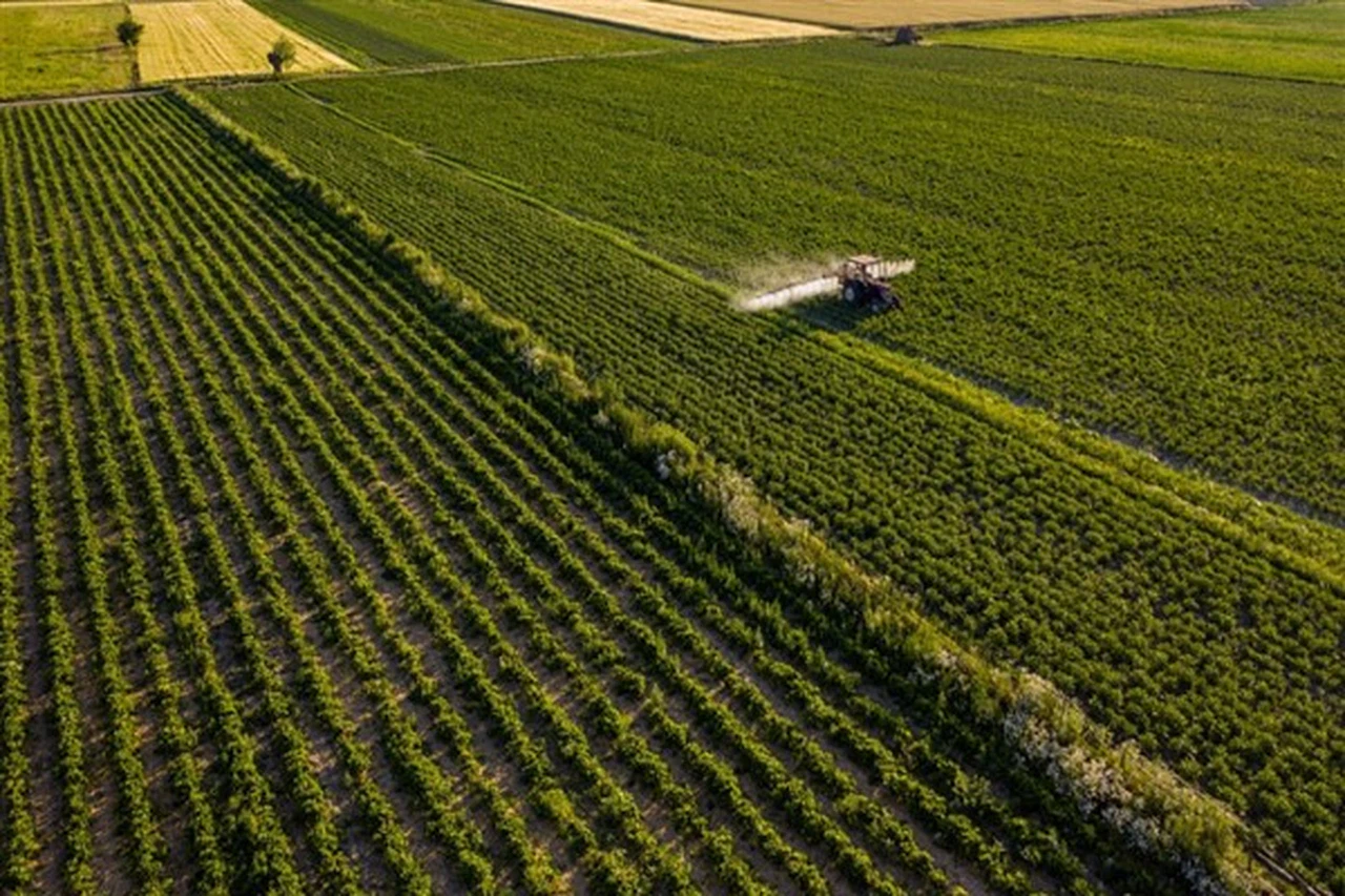 Tarımsal girdi fiyatları Aralık’ta yıllık yüzde 32,49, aylık yüzde 2,13 yükseldi