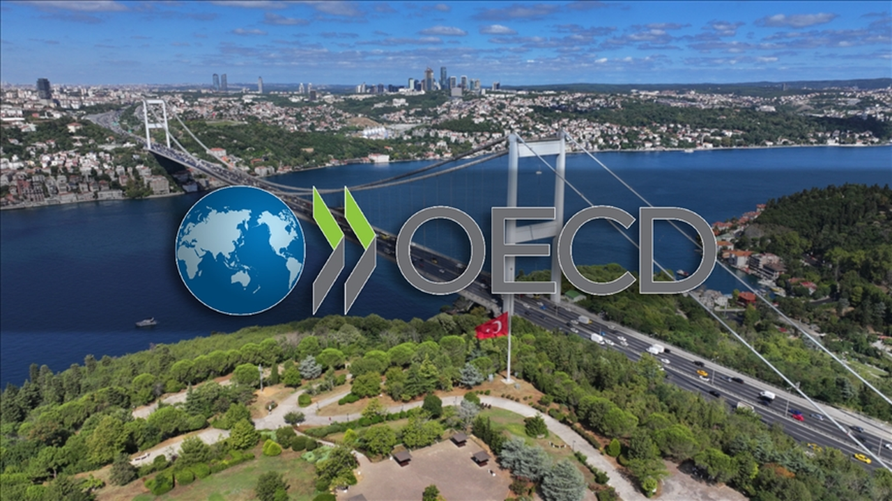 OECD, Türkiye İnceleme Raporu'nu yayımladı