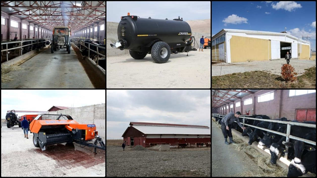 TKDK son 12 yılda Van'da 44 hayvancılık projesine 8,6 milyon avro destek sağladı