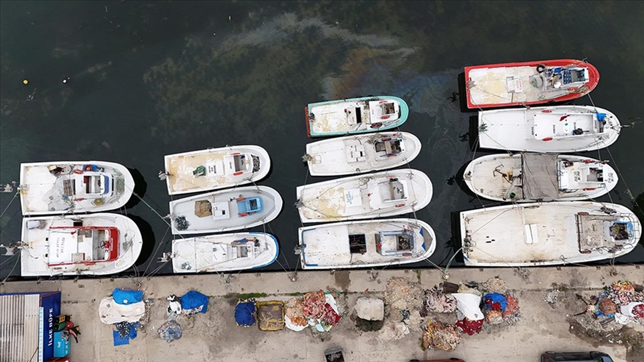 Kırklareli'nde 13 bin 500 ton hamsi avlandı