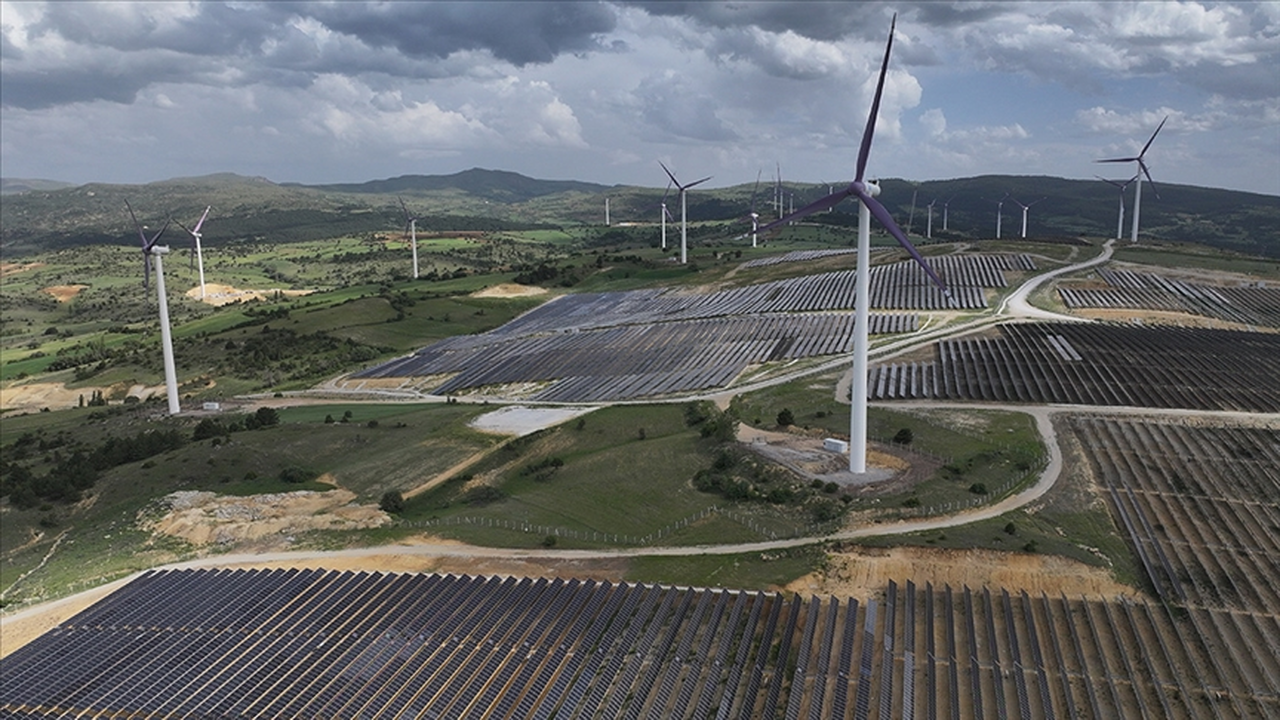 Dünyada temiz enerji kaynaklarının elektrik üretimindeki payı yüzde 40'ı aştı