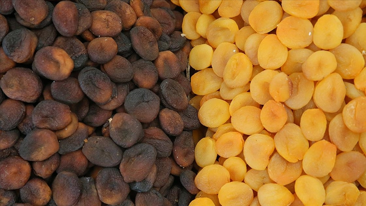 Malatya kayısısından rekor gelir