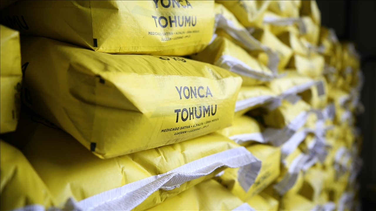 Bingöl'de çiftçilere yüzde 70 hibeyle mısır ve yonca tohumu dağıtıldı