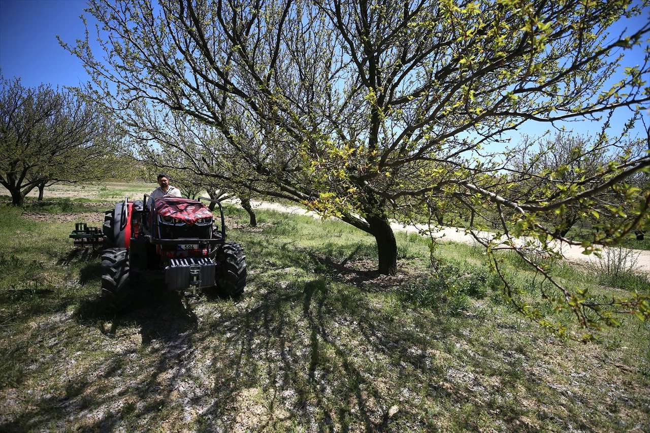 Yeni Nesil Çiftçiler: Genç Arıcılar Ürünlerini Aracısız Satmak İstiyor