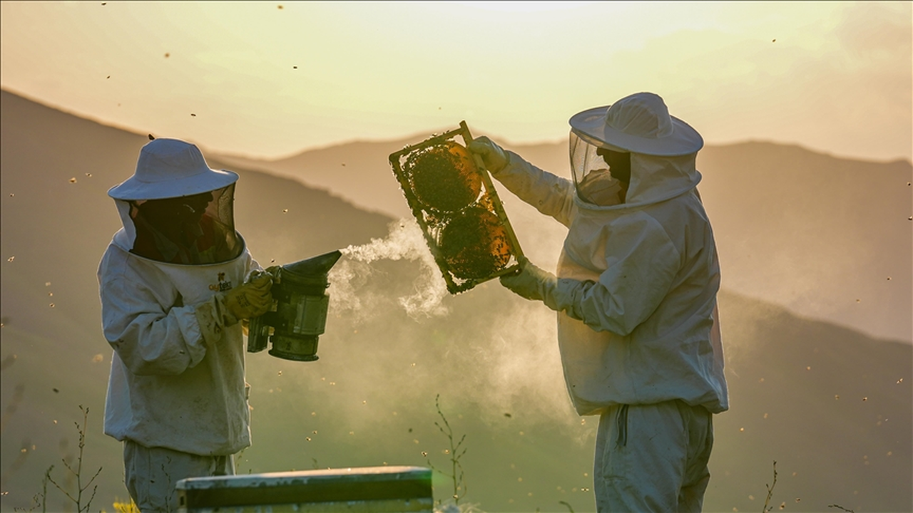 "Arıcılık rotaları" turizme katkı sağlayacak