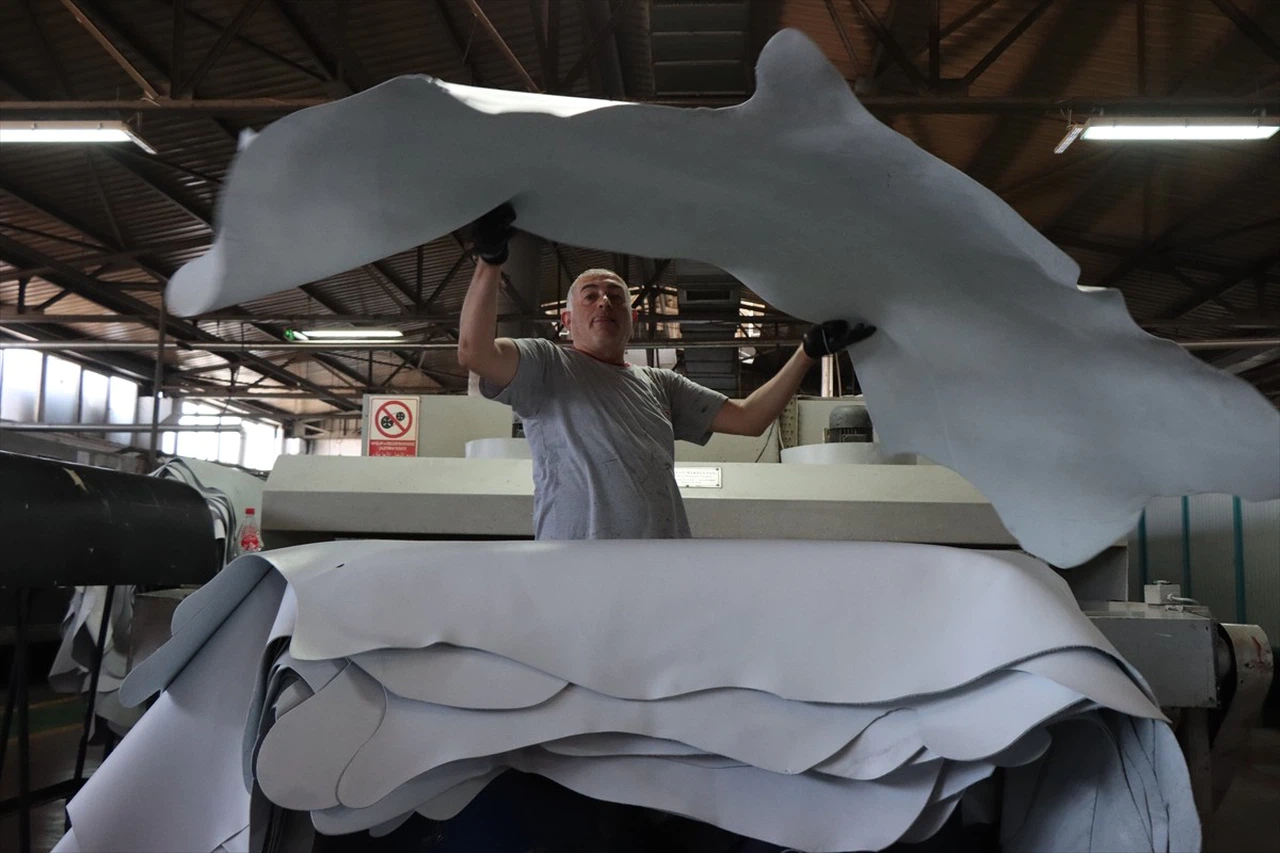 Kurban Derilerinin Ekonomiye Katkısı