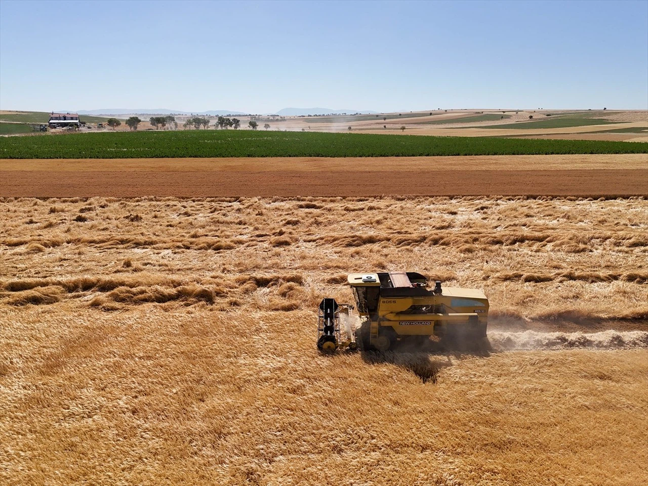 Kuraklıkla Mücadelede Yenilikçi Adım: Uşak'ta Hasat Zamanı