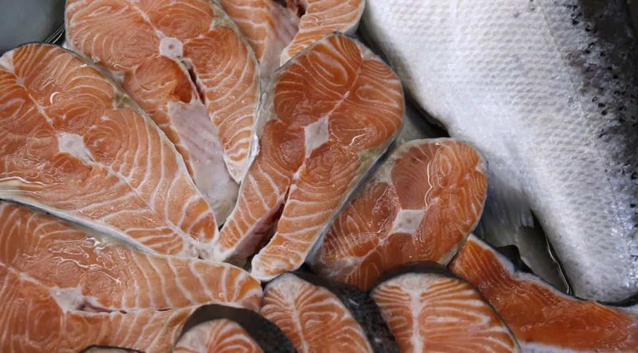 Yılın ilk yarısında Türk somonu ihracatı 217,1 milyon dolar gelir sağladı