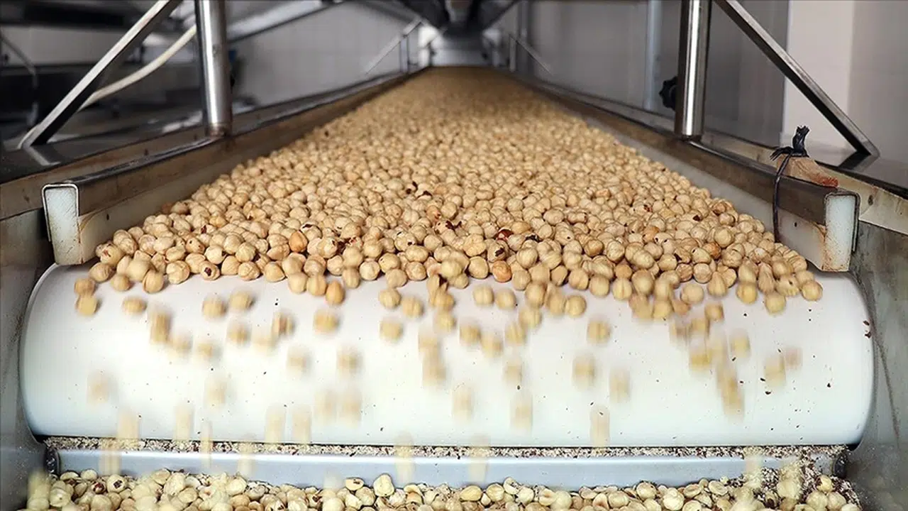 Türkiye fındık ihracatından 10 ayda yaklaşık 2,3 milyar dolar gelir sağladı