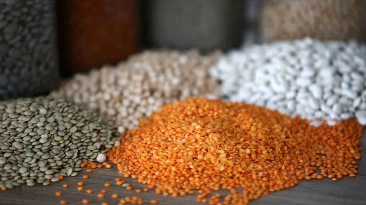 Yılın ilk yarısında Türkiye’nin hububat ve bakliyat ihracatı %4,5 artış gösterdi