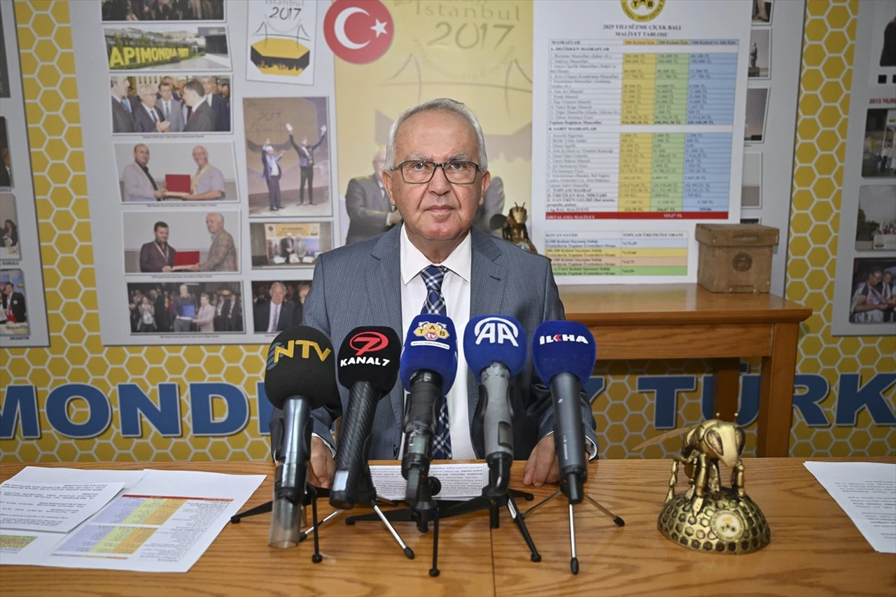 Türkiye'de Bal Üretiminin Maliyetleri Artıyor