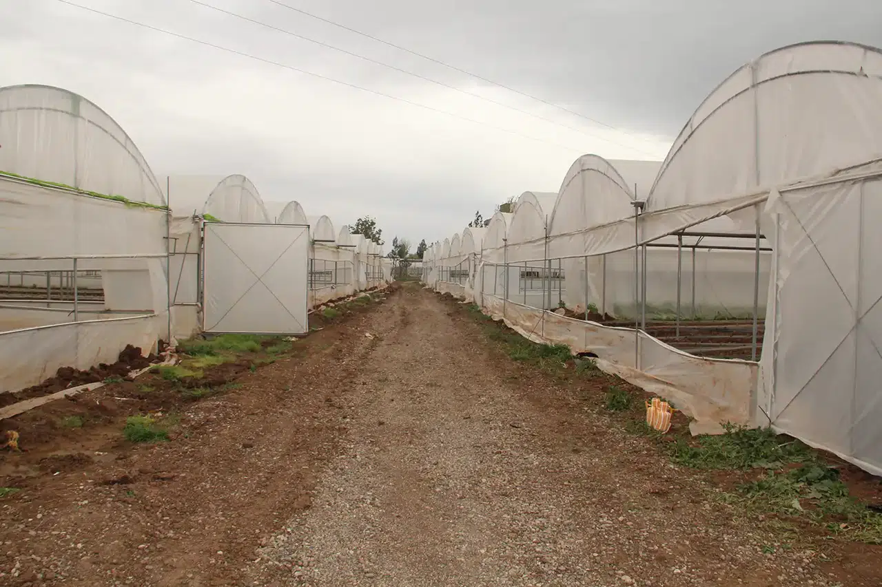 Batman'a 3 milyar liralık sera organize tarım bölgesi yatırımı