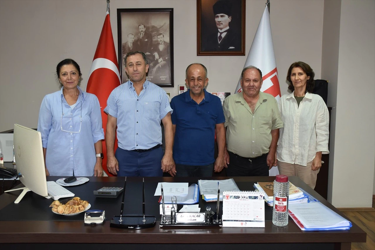 Tariş'ten Kuru İncir Alım Fiyatları Açıklaması