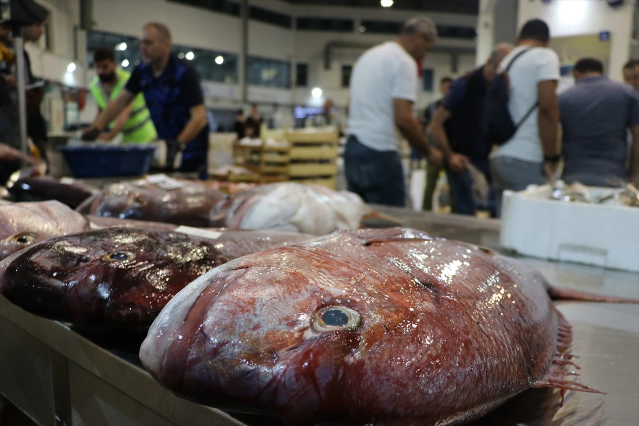 Ege'de Balıkçılık Sezonu Coşkuyla Açıldı