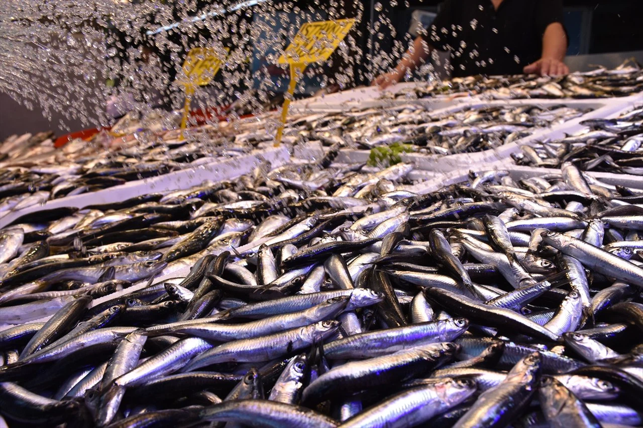 Trabzon'da Hamsi Fiyatları