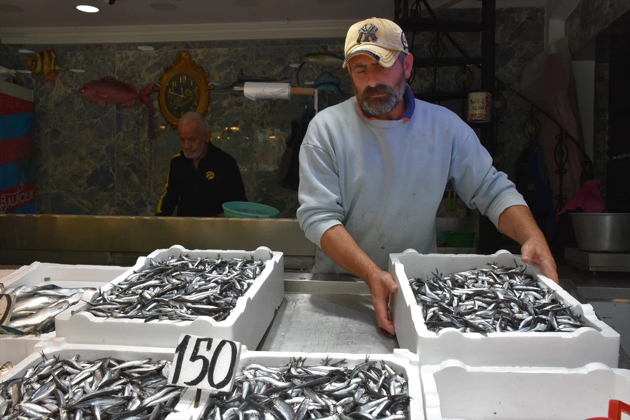 Trabzon'da Balık Fiyatları Düşüşte