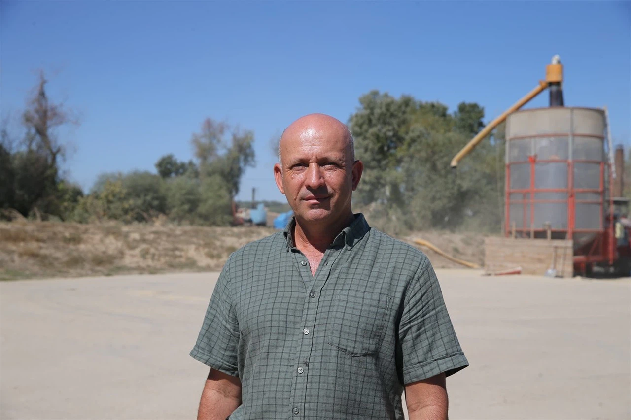 Edirne'de Ayçiçeği Veriminde Düşüş