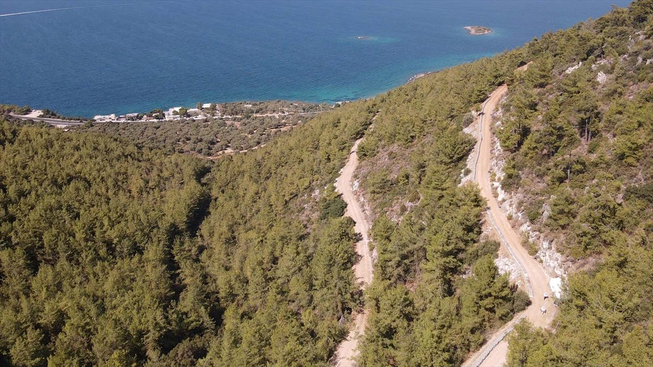 Bodrum'da Baba Oğul Arıcılık Geleneği