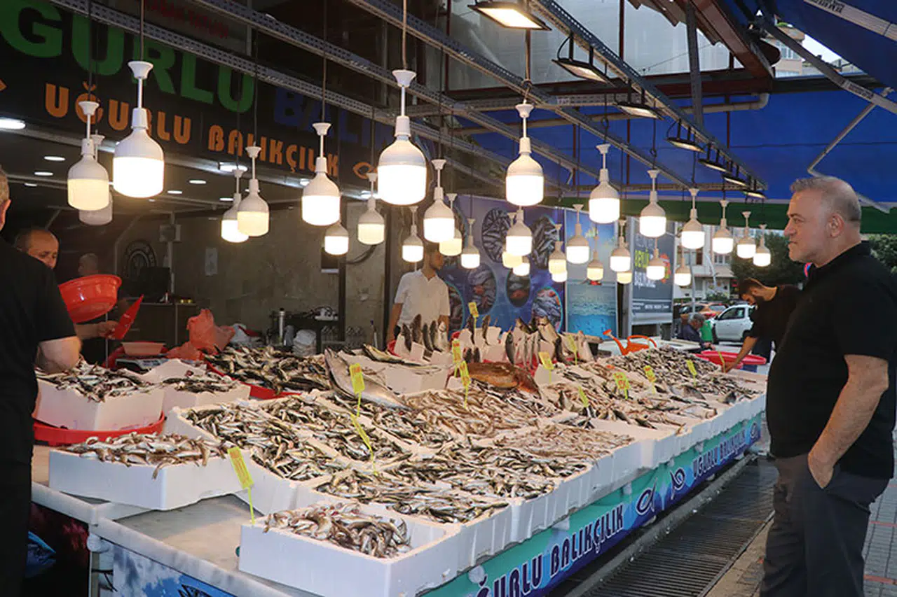 Rize’de Balıkçı Tezgahlarında Bolluk: Fiyatlar Uygun, Yüzler Gülüyor