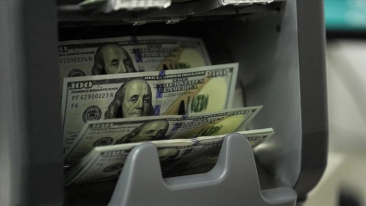 Firmaların Net Döviz Açığı Temmuzda Geriledi