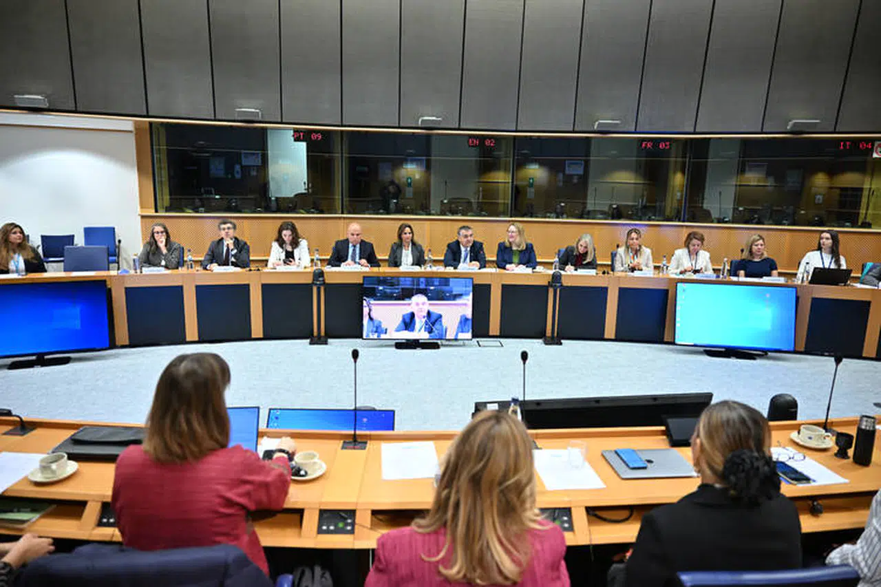 KAGİDER Türk iş kadınlarının vizyonunu Avrupa Parlamentosu’na taşıdı