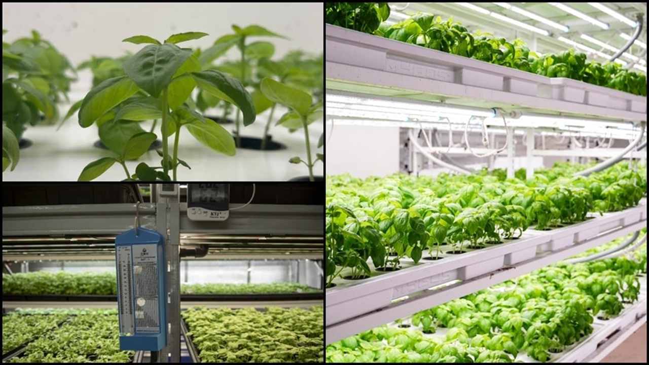 Tarımda Yeni Dönem: Verimlilik ve Teknoloji Odaklı Büyüme