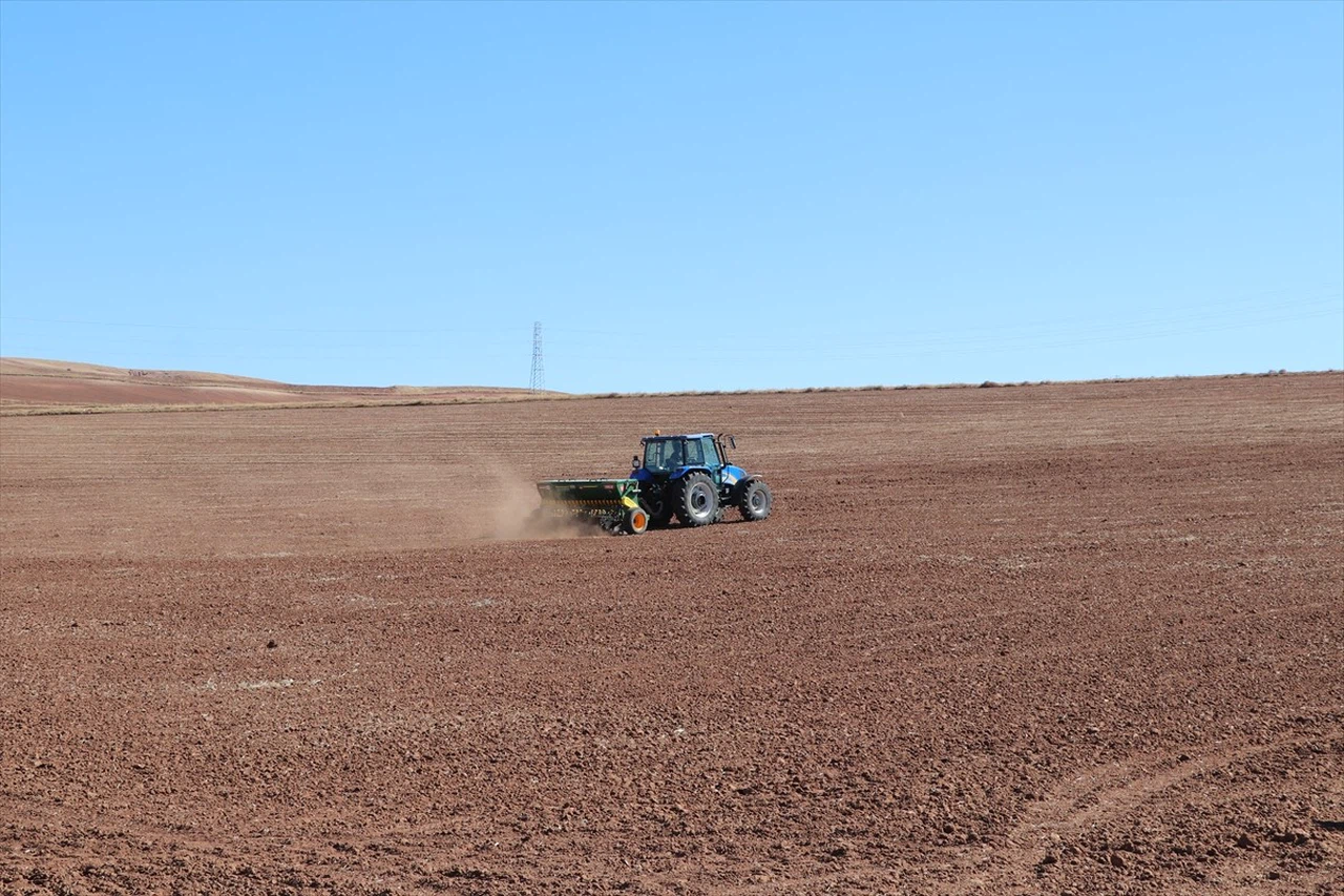 Sivas’ta Yerli Buğday ve Arpa Çeşitlerinde Deneme Ekimleri Başladı