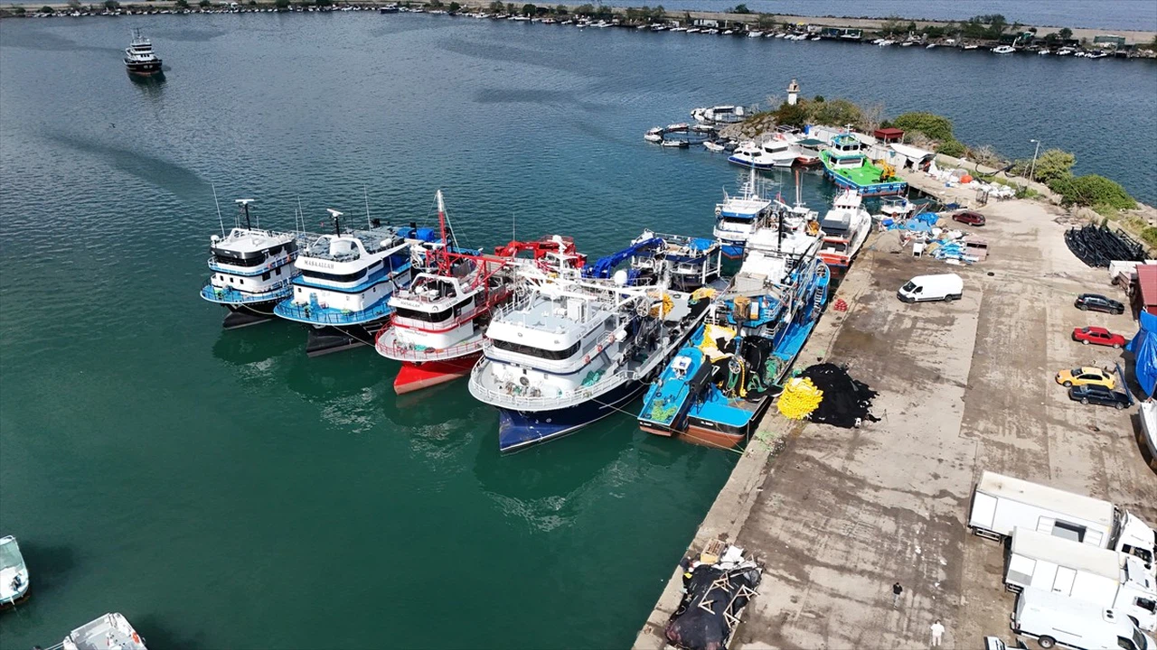 Ordu'da İstavrit Avında Bayram Yaşıyorlar