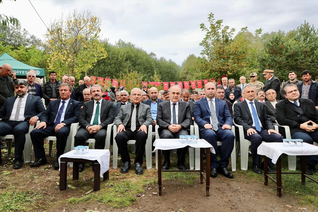 Akkuş Şeker Fasulyesi Hasat Töreni Gerçekleşti