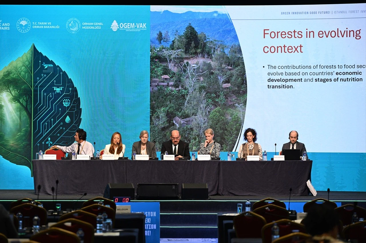 İstanbul Orman İnovasyon Haftası'nda Ormanların Gıda Değeri Tartışıldı