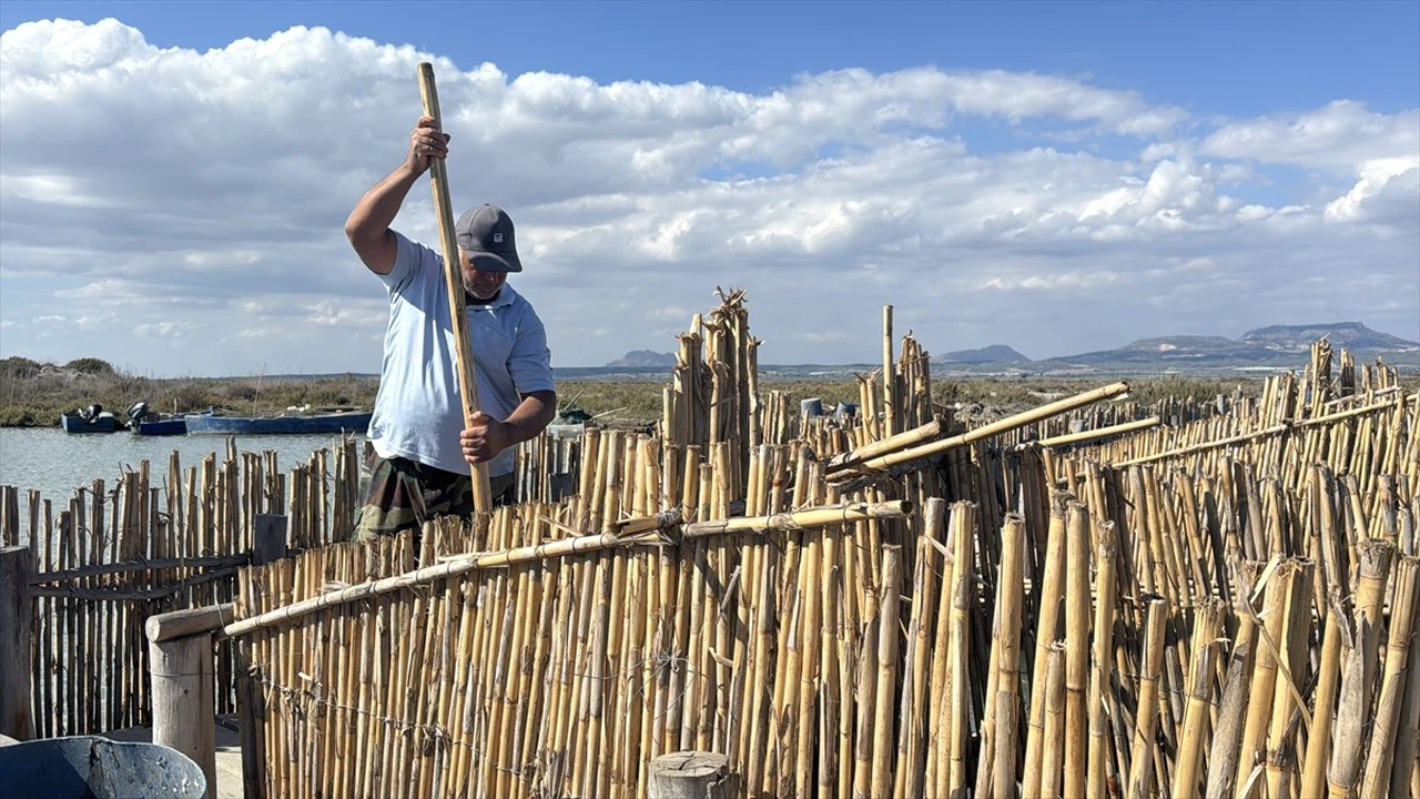 Çukurova'nın Havyarları Sofralarda