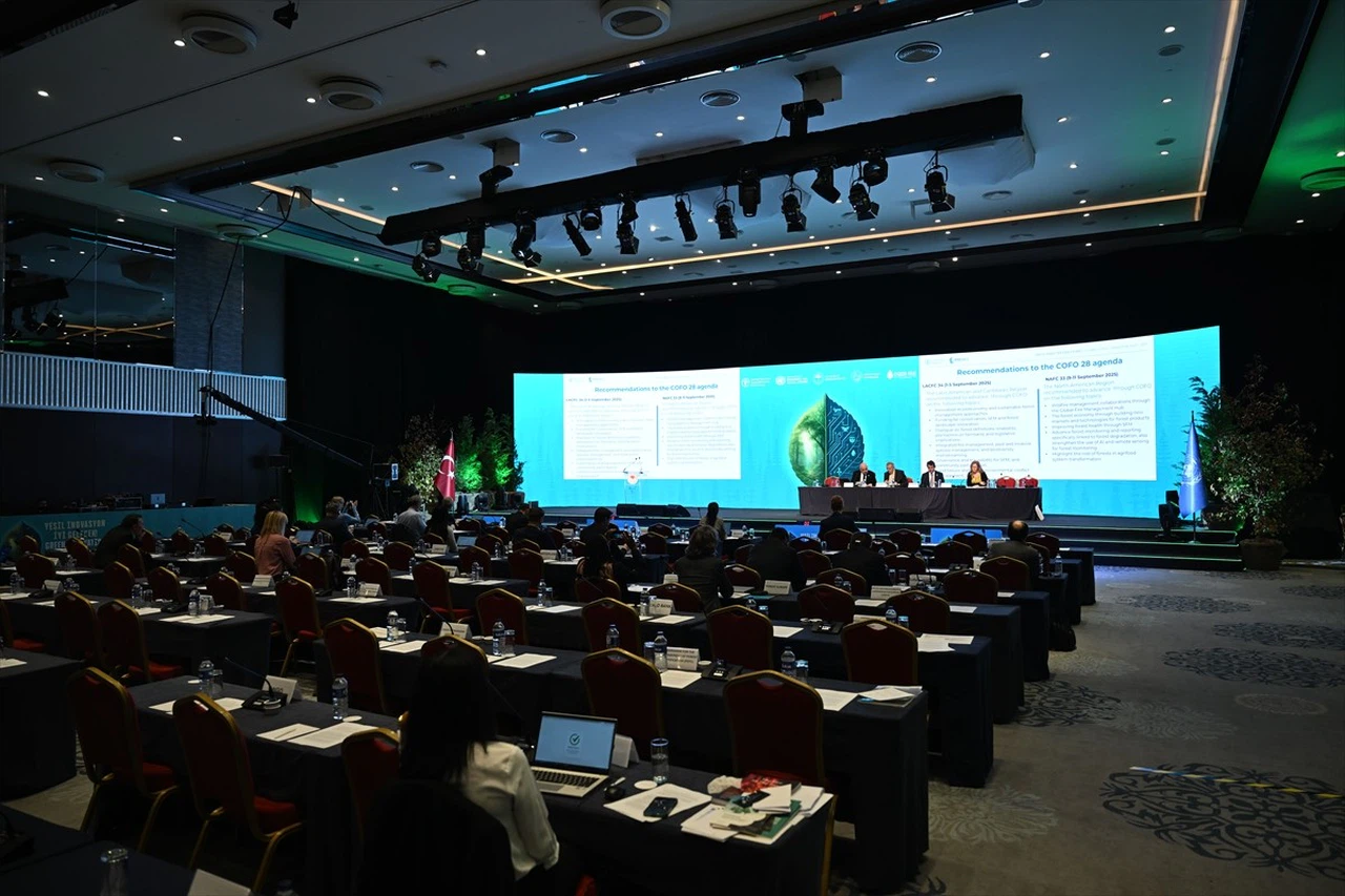 İstanbul Orman İnovasyon Haftası: Orman İzleme ve Karbon Piyasaları Üzerine Paneller