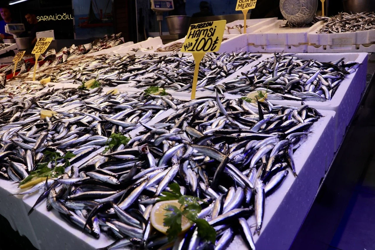 Trabzon'da Hamsi Fiyatları 100 Lira