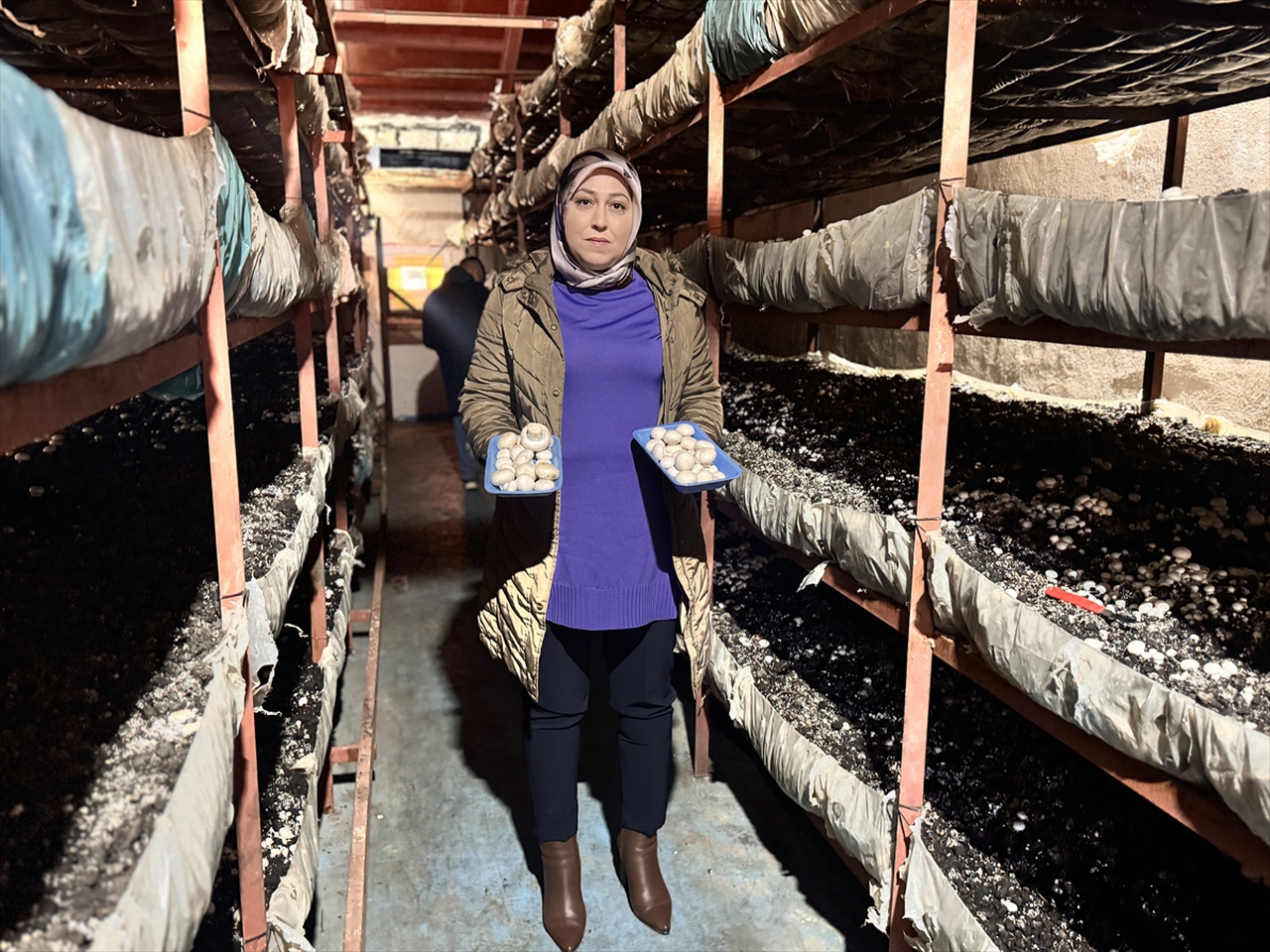 Kadın girişimci devlet desteğiyle kurduğu tesiste 75 ton mantar üretiyor