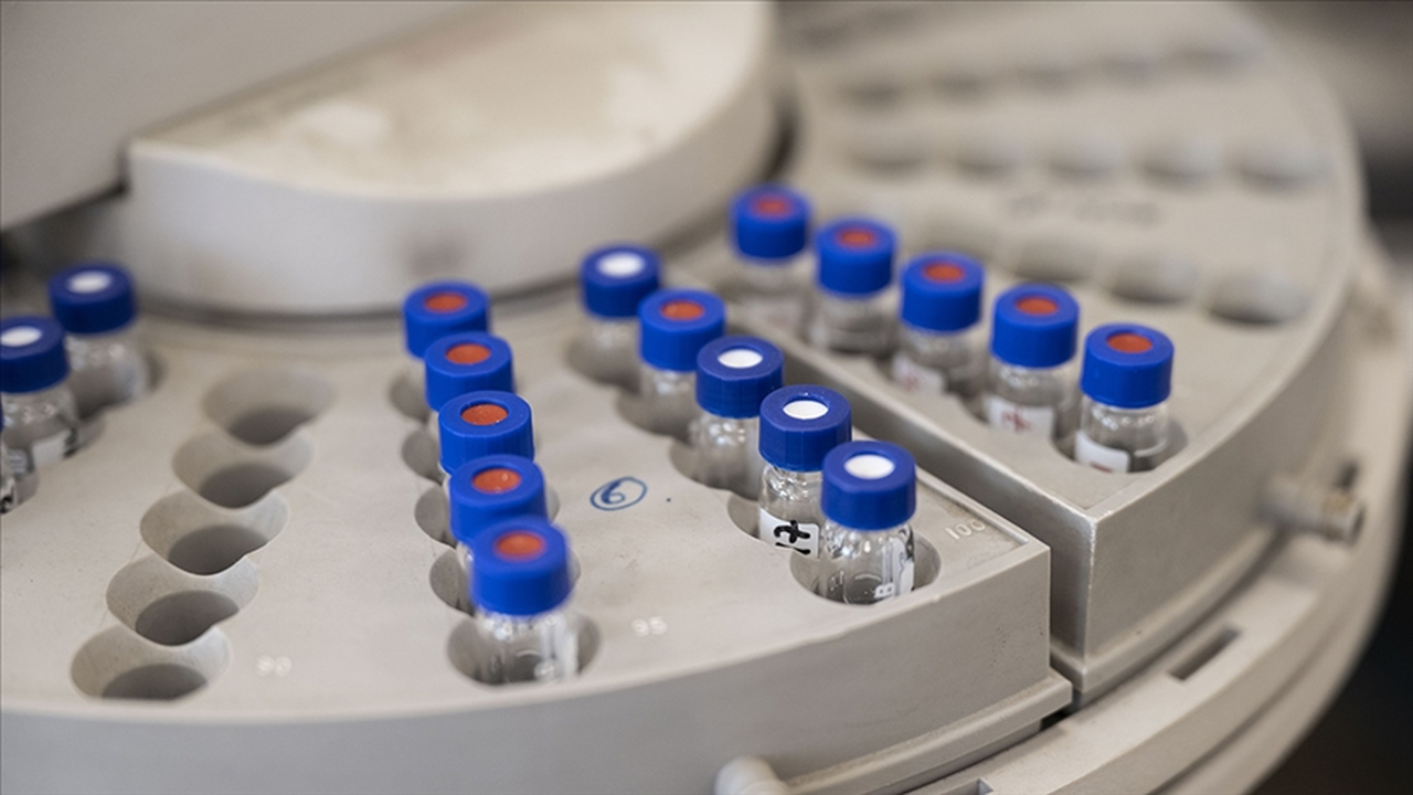 Gıdalarda perfloroalkil bileşenlerinin denetimi için numune alma kriterleri düzenlendi