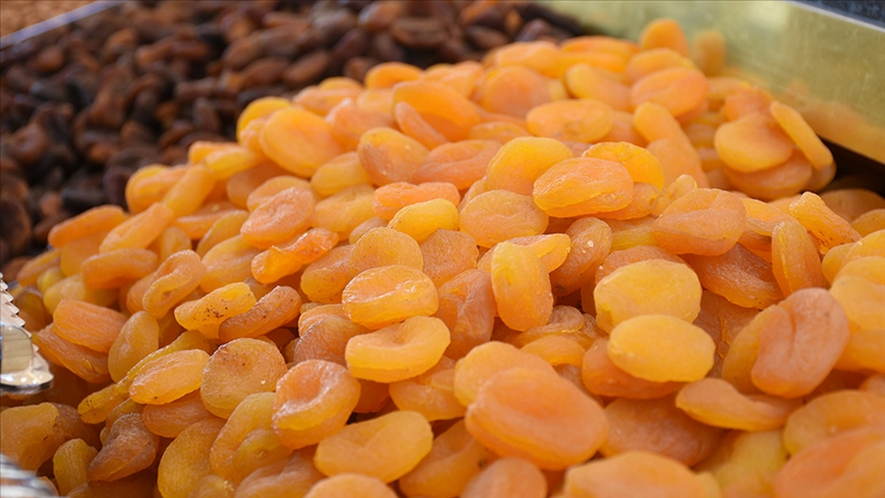 Malatya 'mişmiş' ile dünyanın ağzını tatlandırıyor