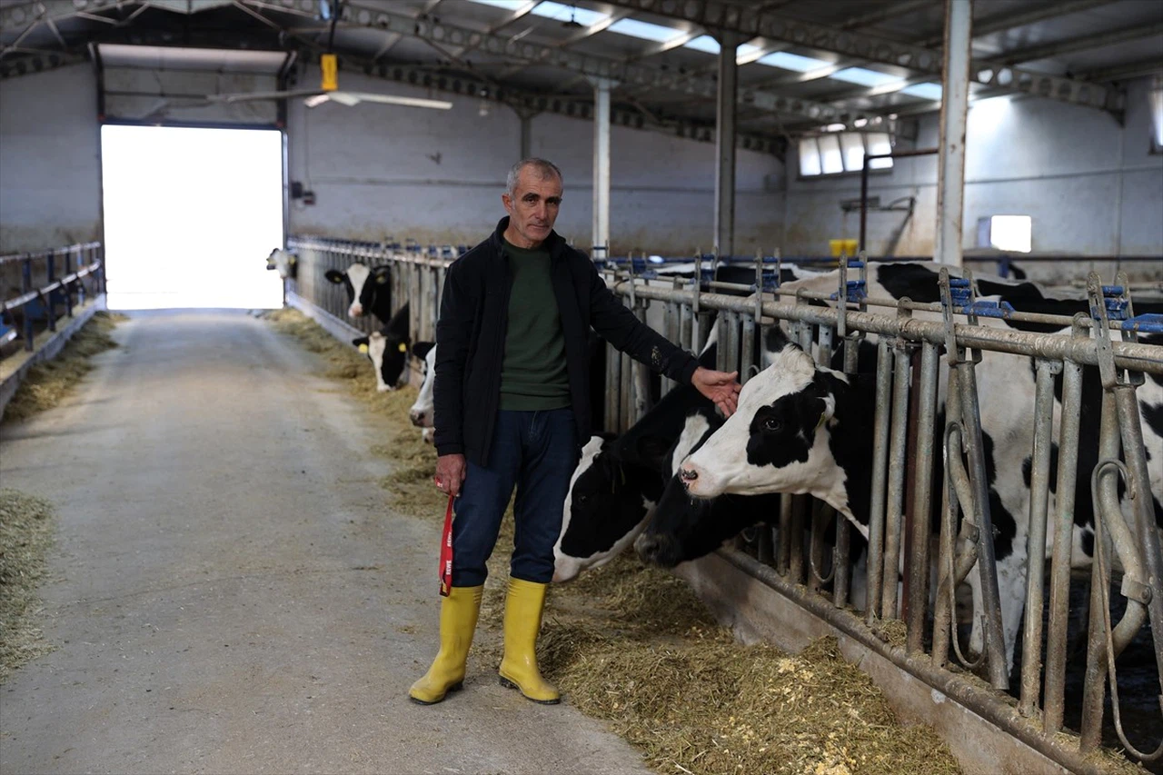 Gemerek'te Süt Üretim Çiftliği Kuruldu