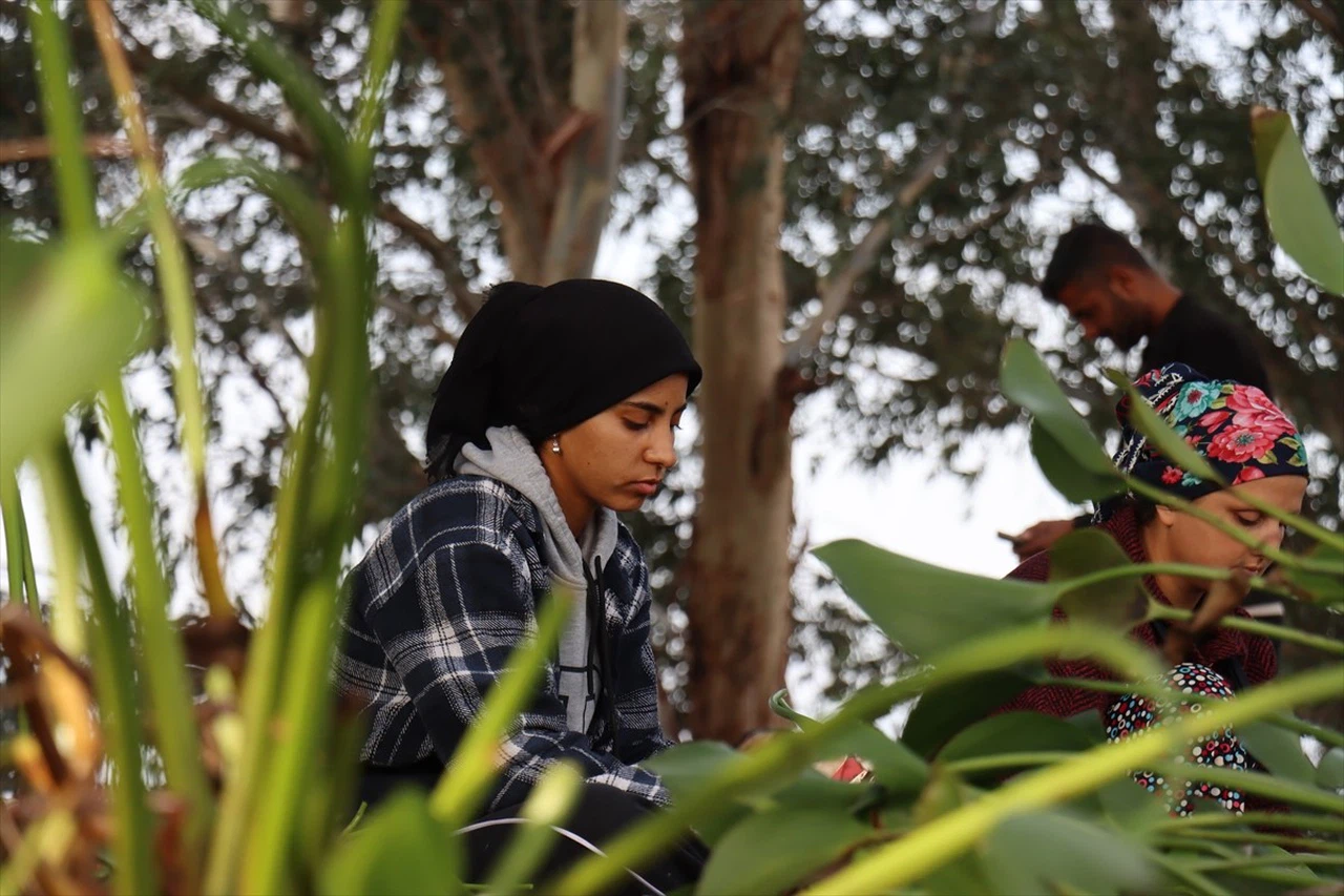 Hatay'da Su Sümbülleri Kadınların Gelir Kaynağı Oluyor