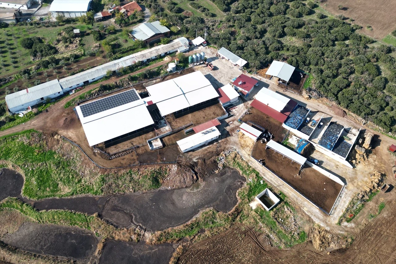 Ercan Tomas'ın Modern Süt Üretim Hikayesi