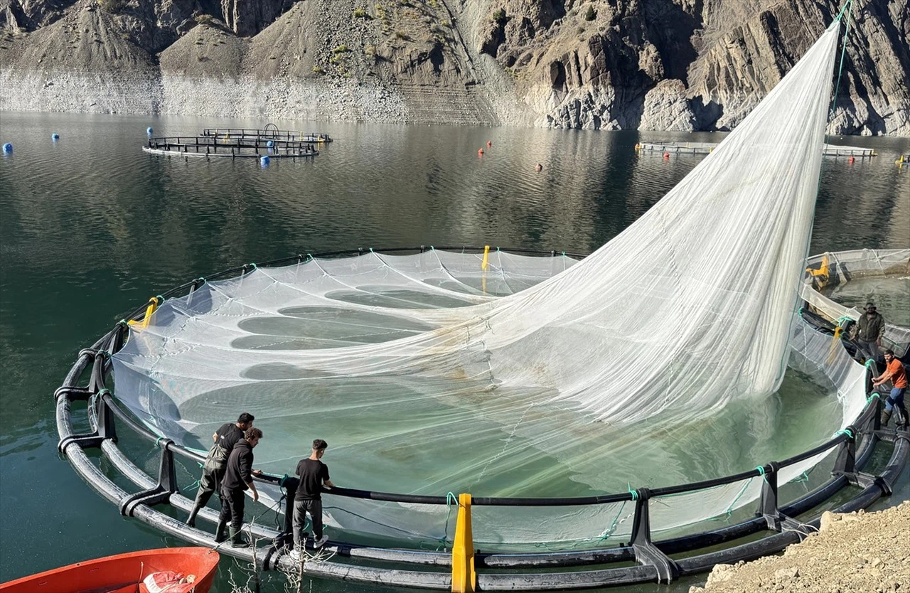 Artvin'den Dünya Pazarına Türk Somonu İhracı