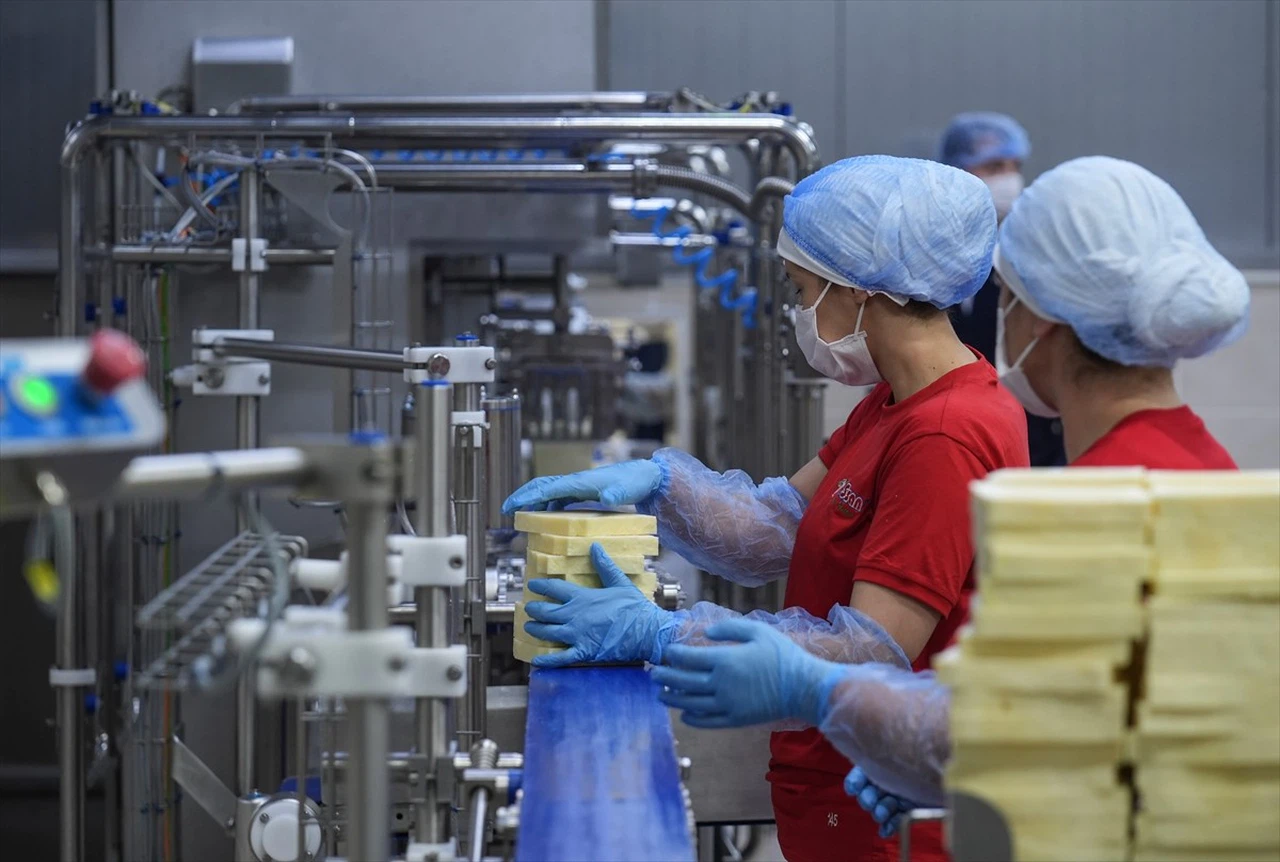 İzmir'in Süt İşleme Tesisleri TKDK Destekleriyle Gelişiyor