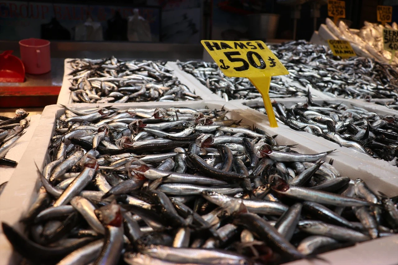 Trabzon'da Hamsi Bolluğu: Fiyatlar Düşüşte