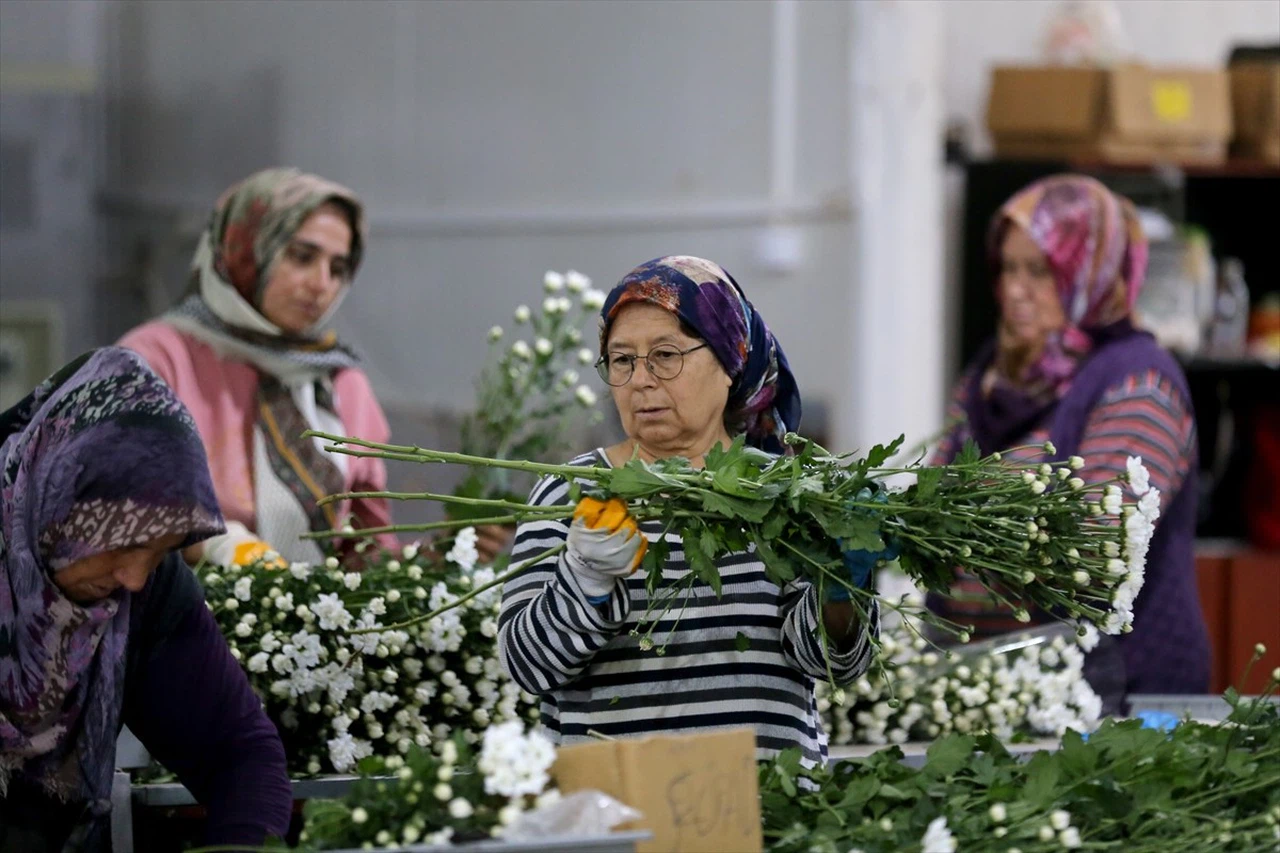 Çiçek Sektöründe Rekor İhracat Hedefi