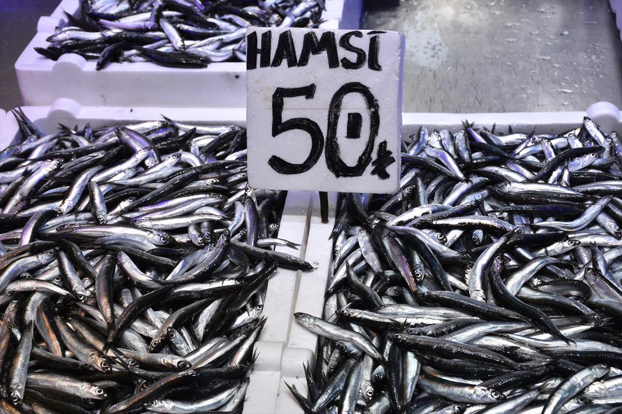 Trabzon'un Hamsi Avı: Balık Tezgahlarında Renkli Sezon